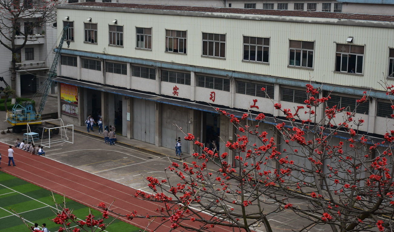 徐梦桃五战冬奥终卫冕 师友感体育比赛直播_足球_波胆_买球_篮球_电竞_在线投注叹：“她创造了奇迹”